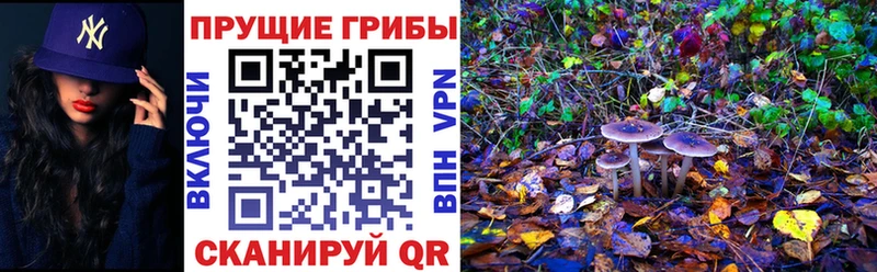 Галлюциногенные грибы ЛСД  Купить где  Сердобск 